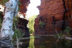 a1798481257805095-31500