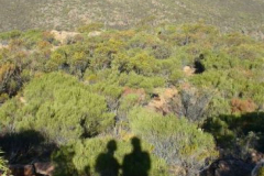 a1806781242907042-8697