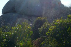 a1848121238665636-23783