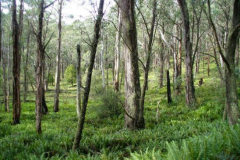 a1897691242907051-8697