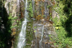 a1976871238069751-24427