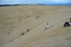 a1989731249798933-24868