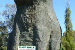 a2009671240199180-10699