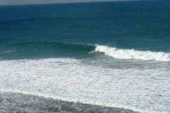 a2061061240141416-23393