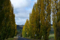 a2072441242907049-8697