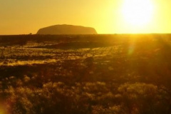 a2252261256300351-6248