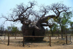 a2307781257805091-31500