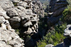 a2412821240199179-10699