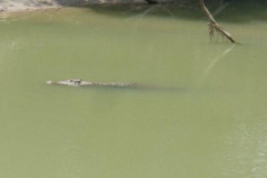 a2417341256858710-6468