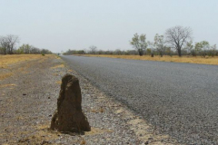 a2451561256299252-6248