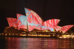 a2460481249796309-24868