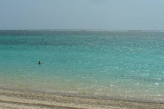 a2484961257805868-4100