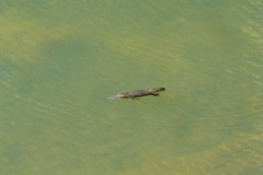 a2500891251533714-26734