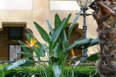 a2502941237092266-13466