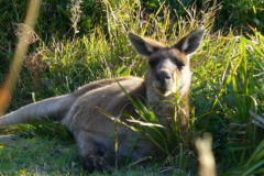 a2510241251532360-26734