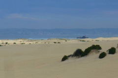 a2568091249798932-24868