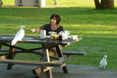 a2648671238062505-25119