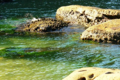 a2713121242907505-8697