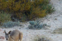 a2846851257805869-4100