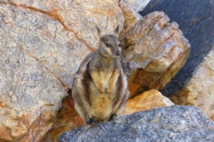 a2887841256300361-6248