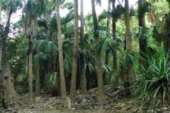 a2888261256858705-6468