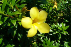 a2942241257805093-31500