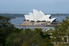 a2997371236932094-19987