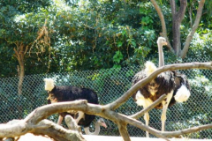 a3034461237593359-12097