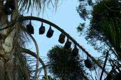 a3054411249798938-24868