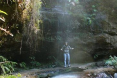 a3203561242907500-8697