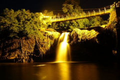 a3219181254173957-16265