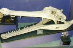 a3252081237376753-13259