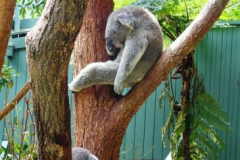 a3346571237593356-12097