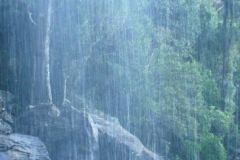 a3377501251532365-26734