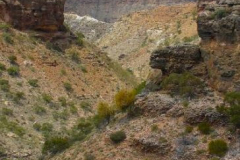 a3427361257805870-4100