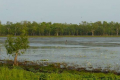 a3508731256858709-6468