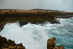 a3660441257805871-4100