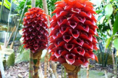 a3763421237092259-13466