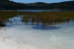 a3873151251532371-26734