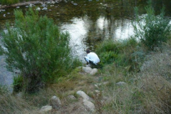 a3917211238665630-23783