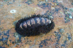 a4071221257805092-31500