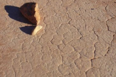 a4174241256300357-6248