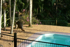 a4181911254173442-16265