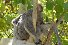 a4193911251533721-26734