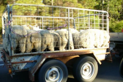 a4283531242907037-8697