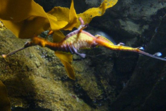 a4370911236932098-19987