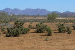 a4374461242907044-8697