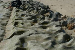 a4419911257805867-4100