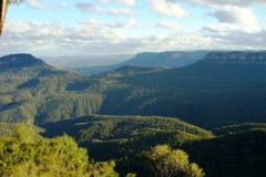 a4467191242907497-8697