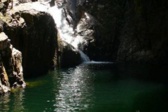 a4504181251533716-26734